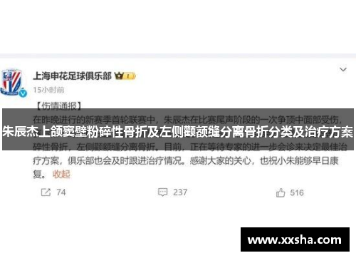 朱辰杰上颌窦壁粉碎性骨折及左侧颧额缝分离骨折分类及治疗方案